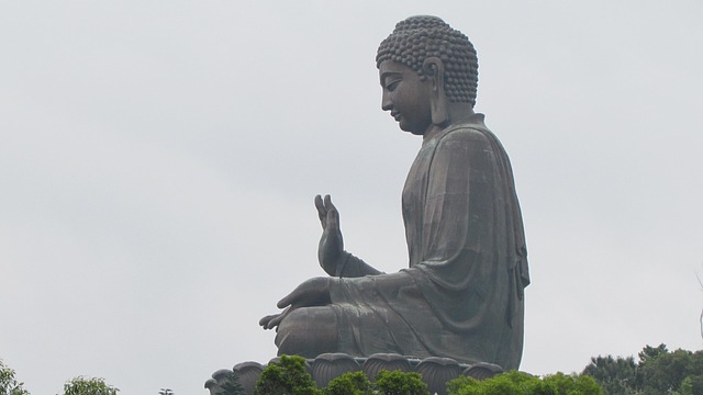 真人輪盤：<br>行為與偏誤解構